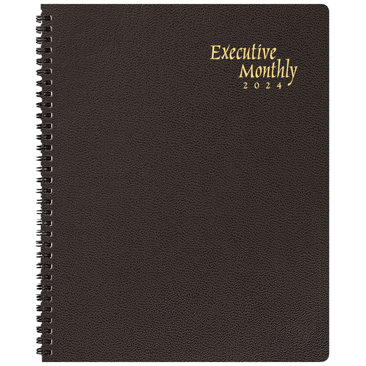 Executive Monthly Planner 2024 - Bl